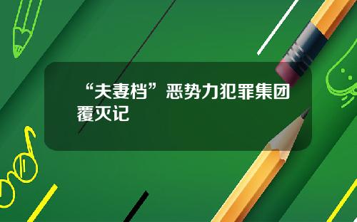 “夫妻档”恶势力犯罪集团覆灭记