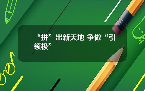 “拼”出新天地 争做“引领极”