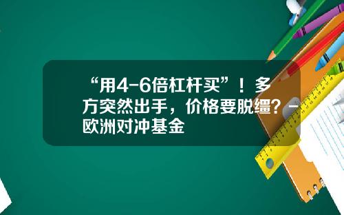 “用4-6倍杠杆买”！多方突然出手，价格要脱缰？-欧洲对冲基金