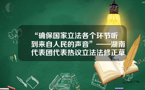 “确保国家立法各个环节听到来自人民的声音”——湖南代表团代表热议立法法修正草案-株洲天桥起重机工程有限公司