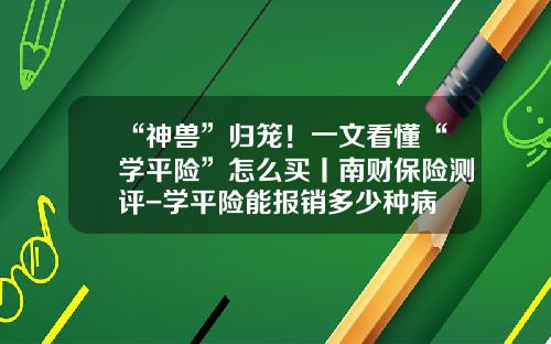 “神兽”归笼！一文看懂“学平险”怎么买丨南财保险测评-学平险能报销多少种病