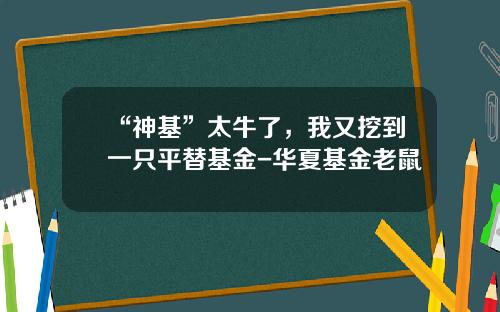 “神基”太牛了，我又挖到一只平替基金-华夏基金老鼠