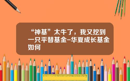 “神基”太牛了，我又挖到一只平替基金-华夏成长基金如何