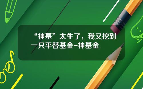 “神基”太牛了，我又挖到一只平替基金-神基金