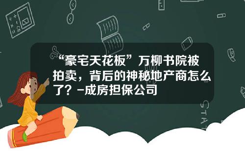 “豪宅天花板”万柳书院被拍卖，背后的神秘地产商怎么了？-成房担保公司