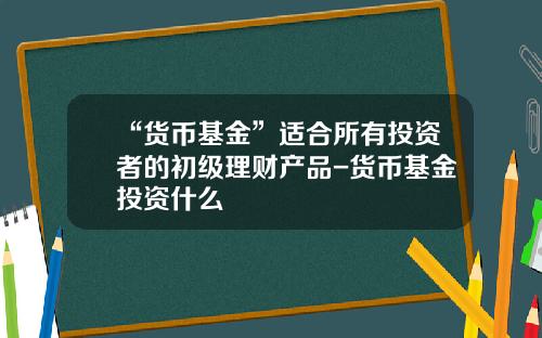 “货币基金”适合所有投资者的初级理财产品-货币基金投资什么