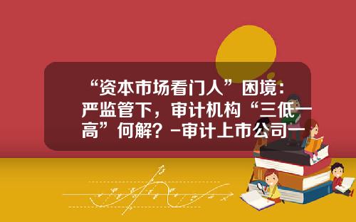 “资本市场看门人”困境：严监管下，审计机构“三低一高”何解？-审计上市公司一般多少人