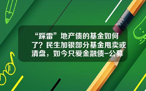 “踩雷”地产债的基金如何了？民生加银部分基金甩卖或清盘，如今只爱金融债-公募地产基金