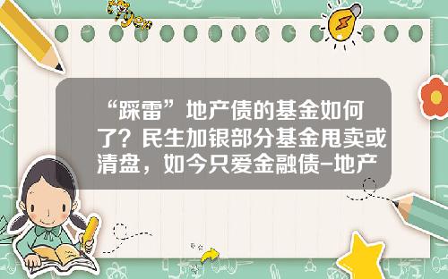 “踩雷”地产债的基金如何了？民生加银部分基金甩卖或清盘，如今只爱金融债-地产型基金