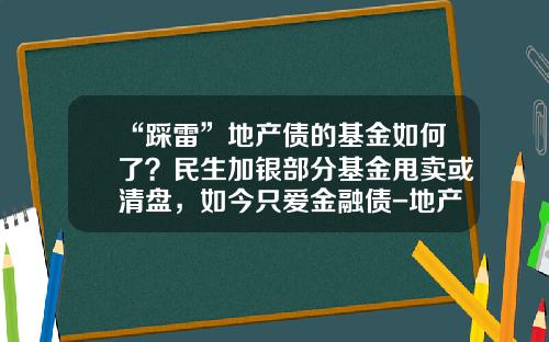 “踩雷”地产债的基金如何了？民生加银部分基金甩卖或清盘，如今只爱金融债-地产基金论坛
