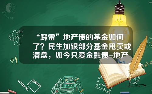 “踩雷”地产债的基金如何了？民生加银部分基金甩卖或清盘，如今只爱金融债-地产基金