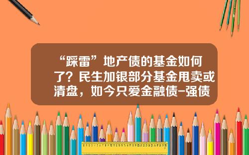 “踩雷”地产债的基金如何了？民生加银部分基金甩卖或清盘，如今只爱金融债-强债型基金