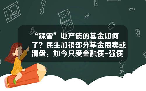 “踩雷”地产债的基金如何了？民生加银部分基金甩卖或清盘，如今只爱金融债-强债基金