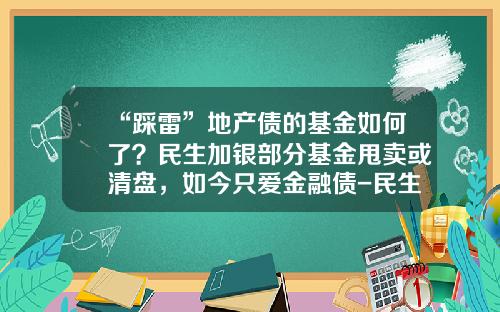 “踩雷”地产债的基金如何了？民生加银部分基金甩卖或清盘，如今只爱金融债-民生基金