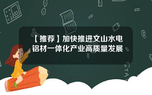 【推荐】加快推进文山水电铝材一体化产业高质量发展