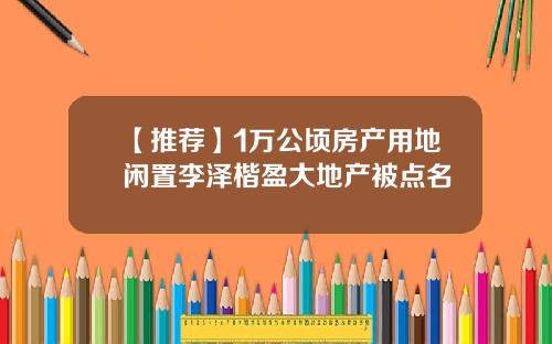 【推荐】1万公顷房产用地闲置李泽楷盈大地产被点名
