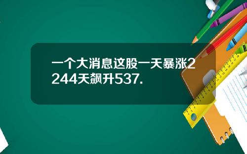 一个大消息这股一天暴涨2244天飙升537.