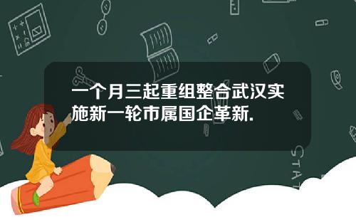 一个月三起重组整合武汉实施新一轮市属国企革新.