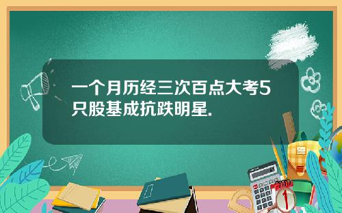 一个月历经三次百点大考5只股基成抗跌明星.
