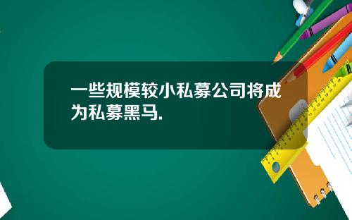 一些规模较小私募公司将成为私募黑马.