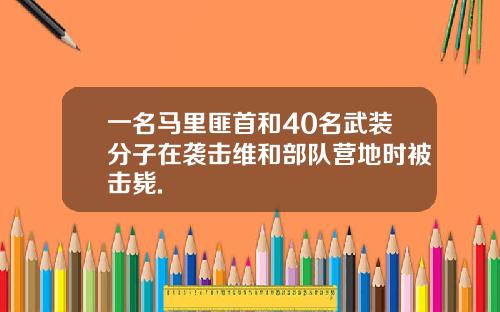 一名马里匪首和40名武装分子在袭击维和部队营地时被击毙.