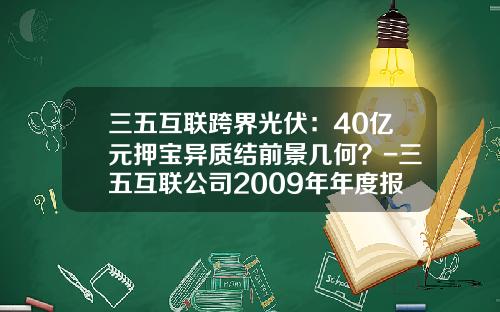 三五互联跨界光伏:40亿元押宝异质结前景几何?-三五互联公司2009年年度报告