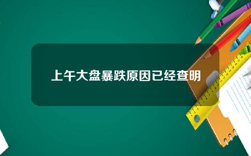 上午大盘暴跌原因已经查明