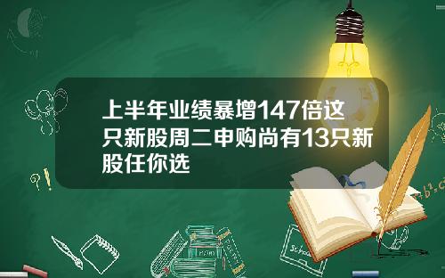 上半年业绩暴增147倍这只新股周二申购尚有13只新股任你选