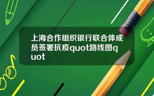 上海合作组织银行联合体成员签署抗疫quot路线图quot