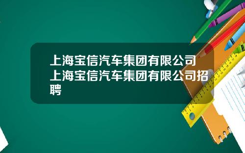 上海宝信汽车集团有限公司上海宝信汽车集团有限公司招聘