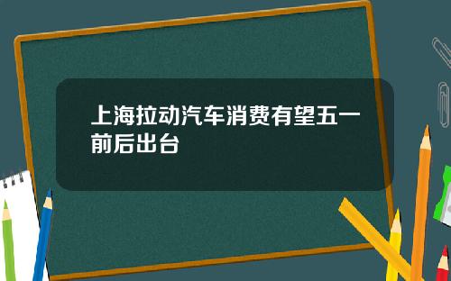 上海拉动汽车消费有望五一前后出台