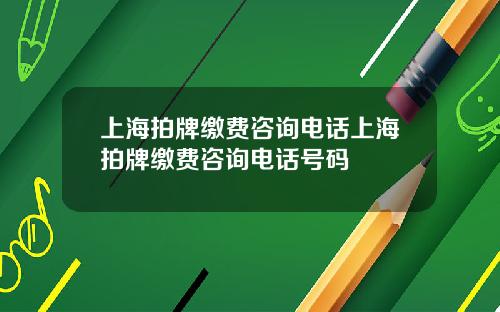 上海拍牌缴费咨询电话上海拍牌缴费咨询电话号码