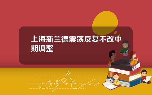 上海新兰德震荡反复不改中期调整