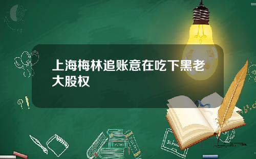 上海梅林追账意在吃下黑老大股权