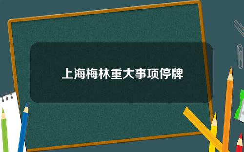 上海梅林重大事项停牌