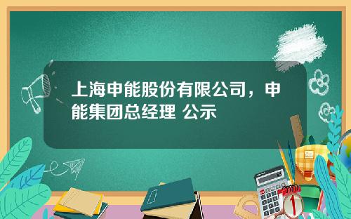 上海申能股份有限公司,申能集团总经理 公示
