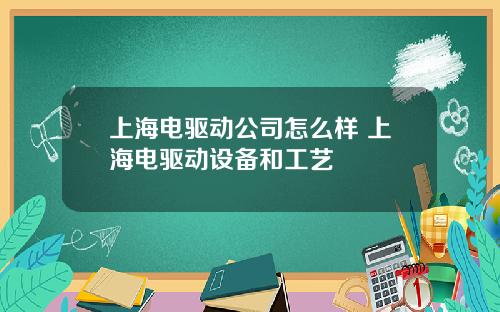 上海电驱动公司怎么样 上海电驱动设备和工艺
