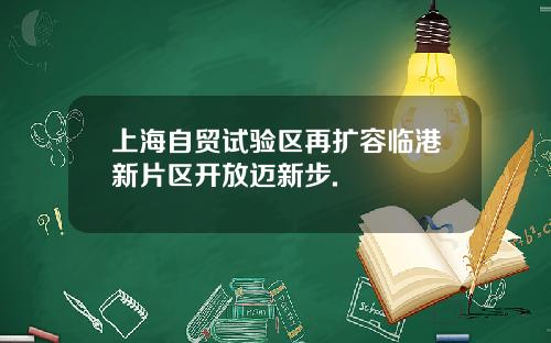 上海自贸试验区再扩容临港新片区开放迈新步.