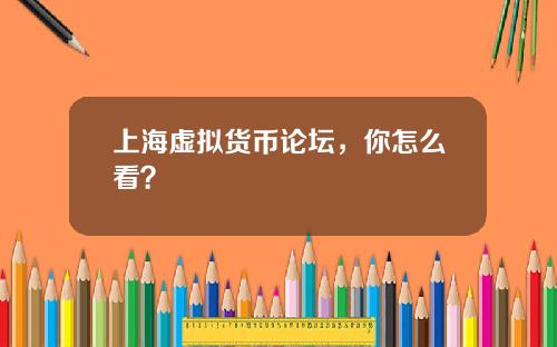 上海虚拟货币论坛,你怎么看?