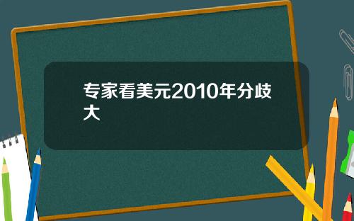 专家看美元2010年分歧大