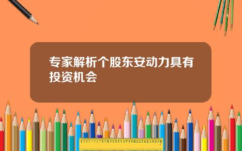 专家解析个股东安动力具有投资机会