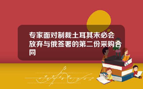 专家面对制裁土耳其未必会放弃与俄签署的第二份采购合同