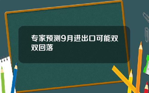 专家预测9月进出口可能双双回落