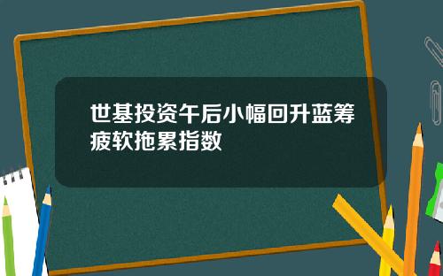 世基投资午后小幅回升蓝筹疲软拖累指数