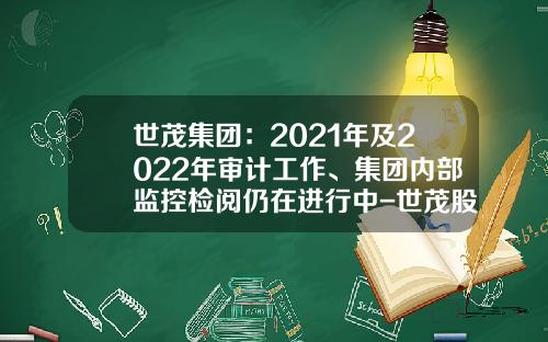 世茂集团:2021年及2022年审计工作、集团内部监控检阅仍在进行中-世茂股份公司规定