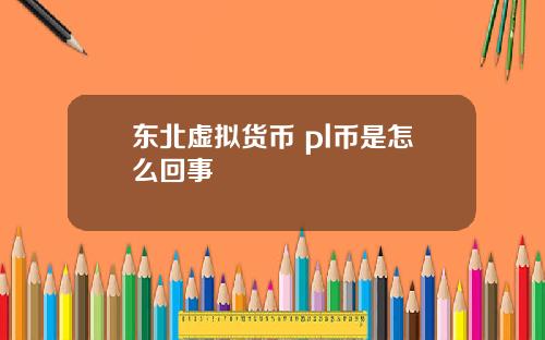 东北虚拟货币 pl币是怎么回事