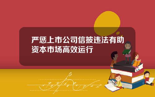 严惩上市公司信披违法有助资本市场高效运行