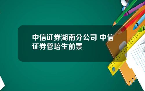 中信证券湖南分公司 中信证券管培生前景