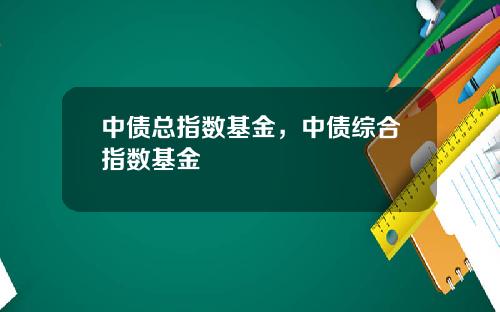 中债总指数基金,中债综合指数基金