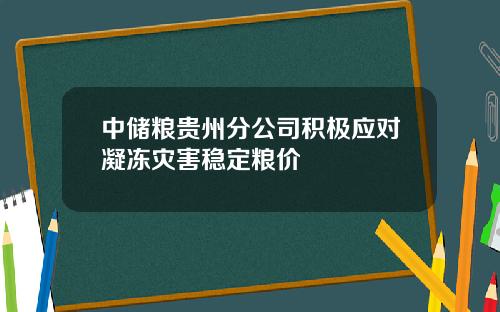 中储粮贵州分公司积极应对凝冻灾害稳定粮价